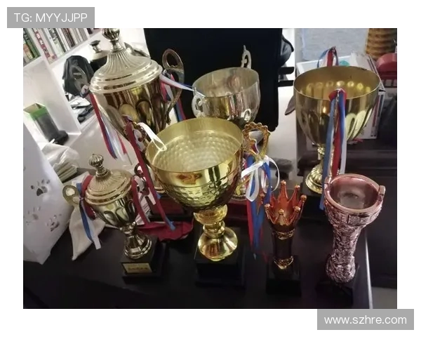 北京排球队的拼搏历程与荣耀时刻全景纪实