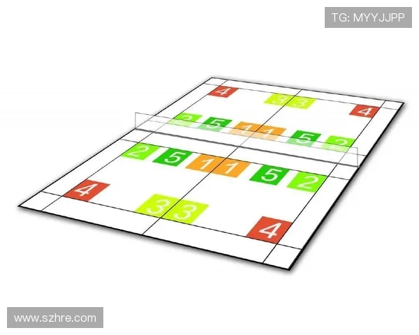 广州羽毛球队在全国锦标赛中的战术分析与表现评估